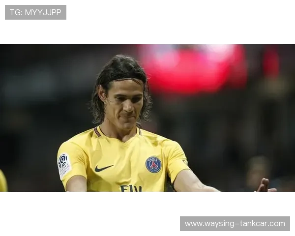 卡瓦尼前锋价值 卡瓦尼前锋价值